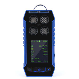 Portable Multi-Gas Detector BH-4S